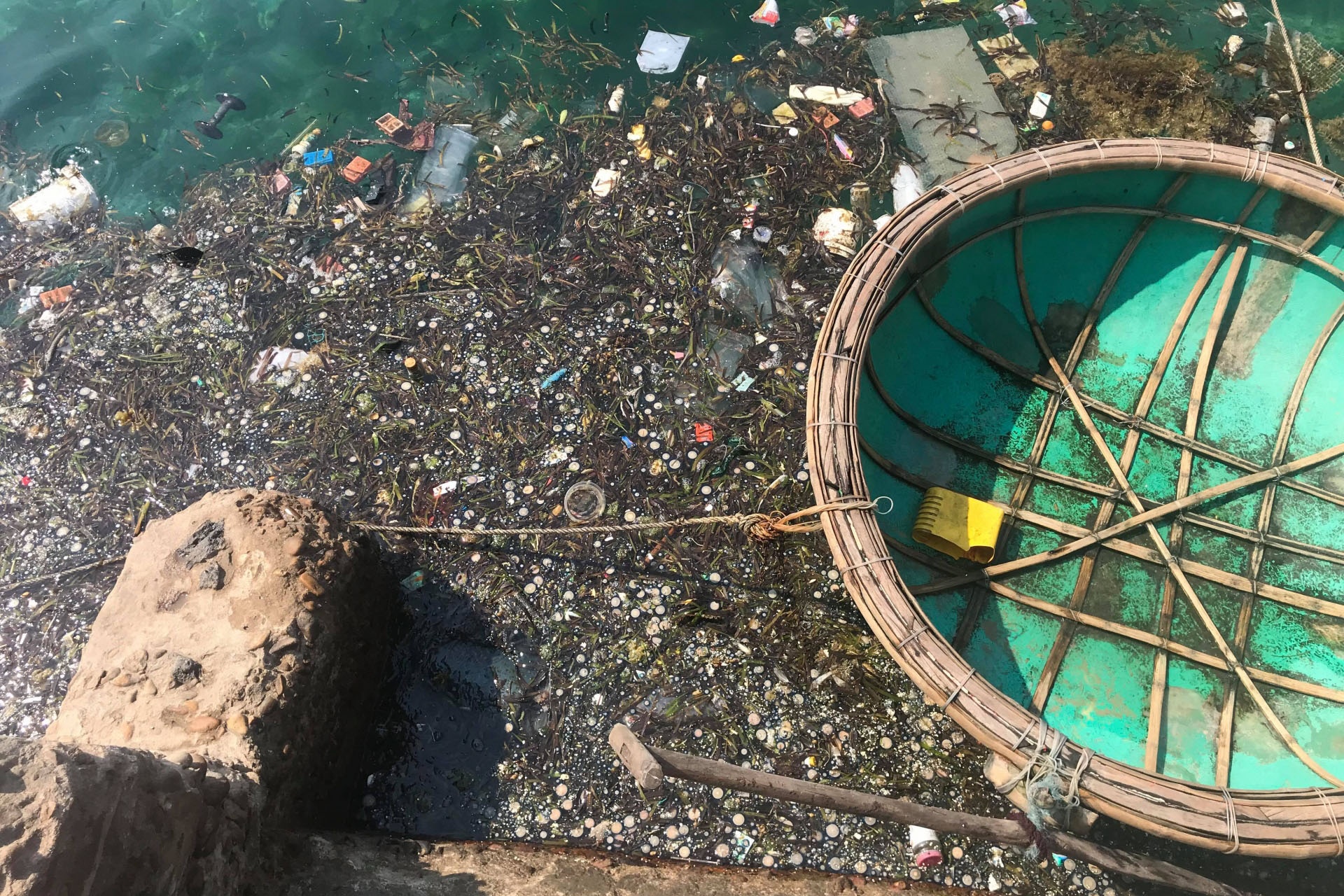 Cảng cá ô nhiễm